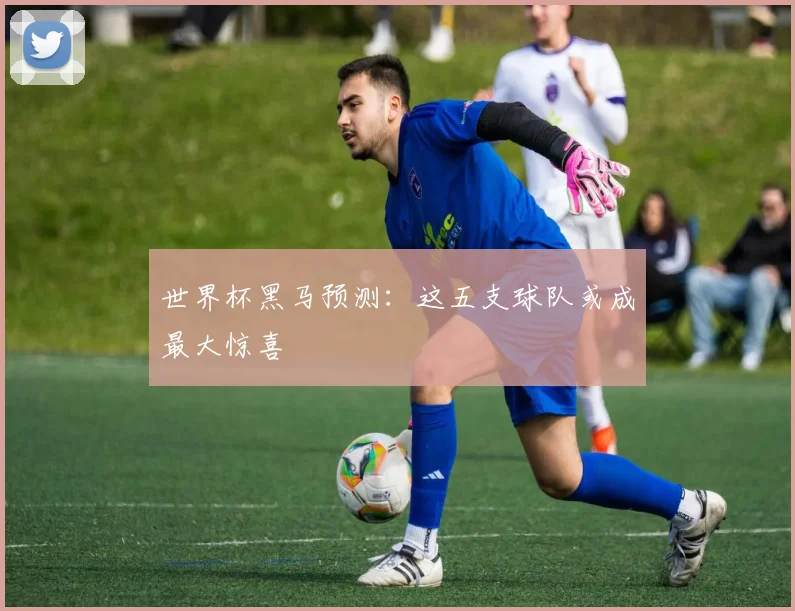 世界杯黑马预测:这五支球队或成最大惊喜