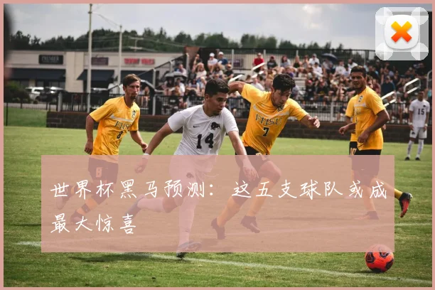 世界杯黑马预测：这五支球队或成最大惊喜